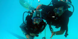 naseizoen Camping les marsouins